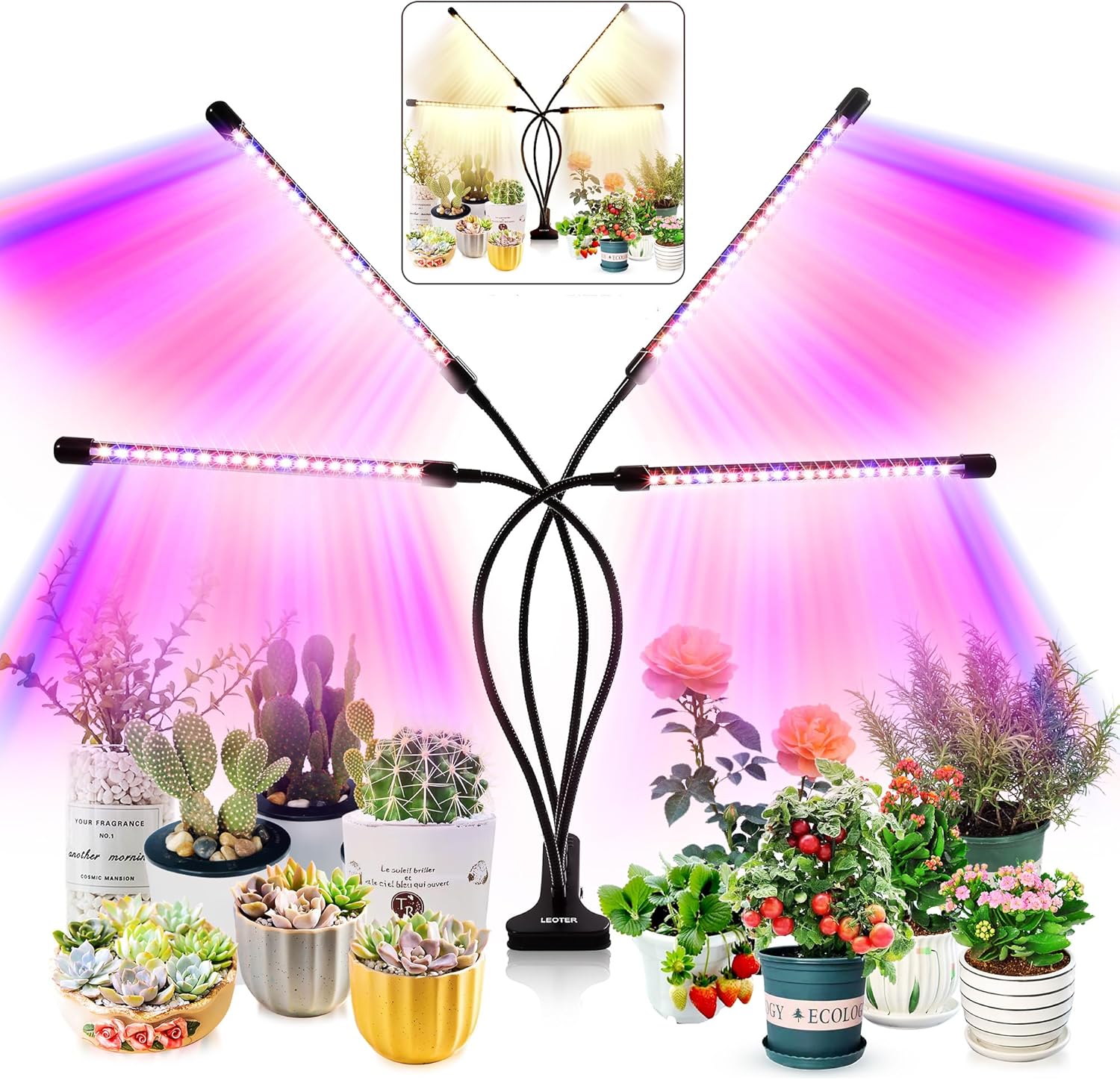 Full-spectrum LED grow lights illuminating indoor seedlings.