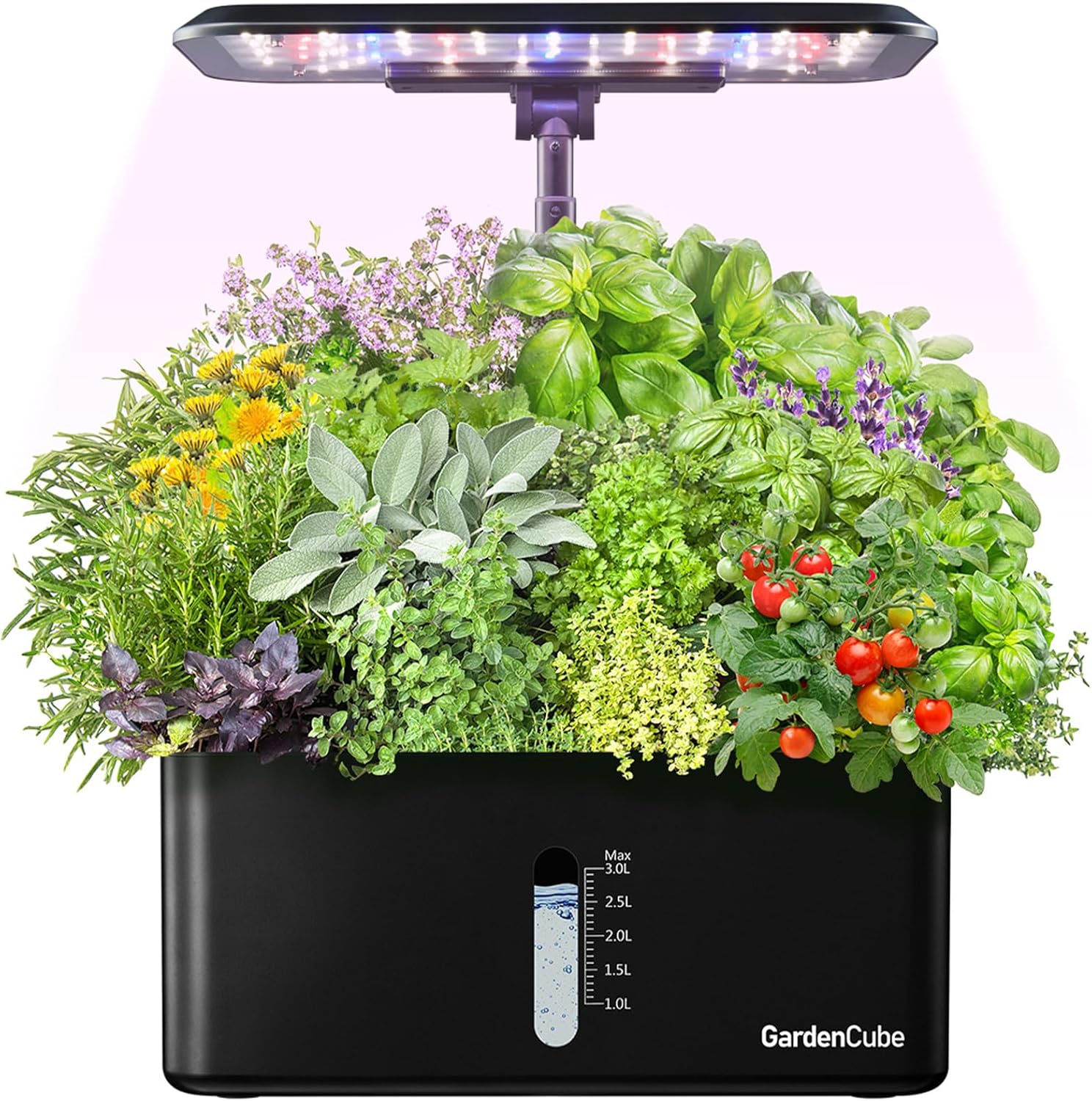Hydroponic system with LED grow lights and leafy greens.
