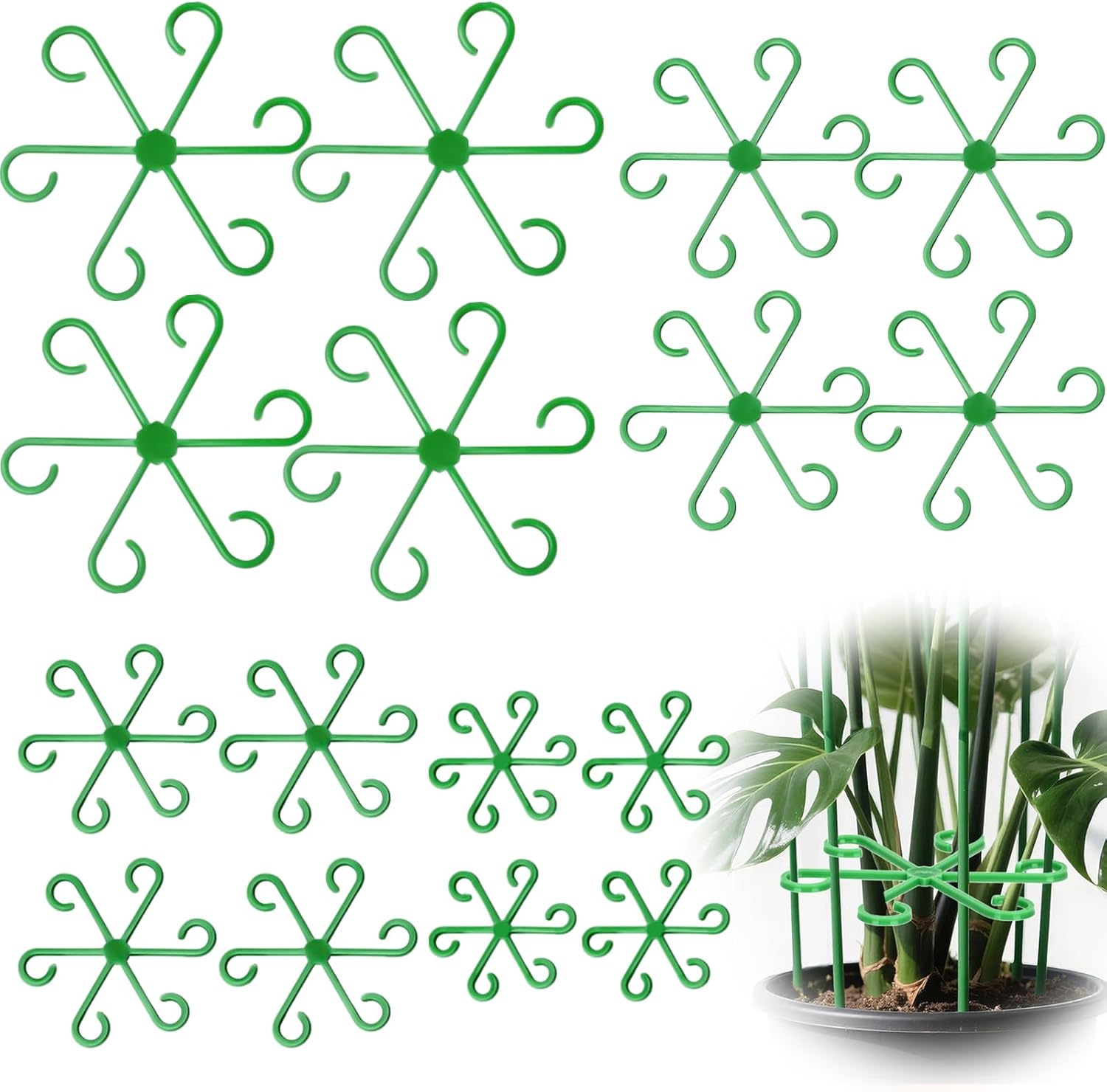 Tomato plants supported with garden stakes and protective netting.