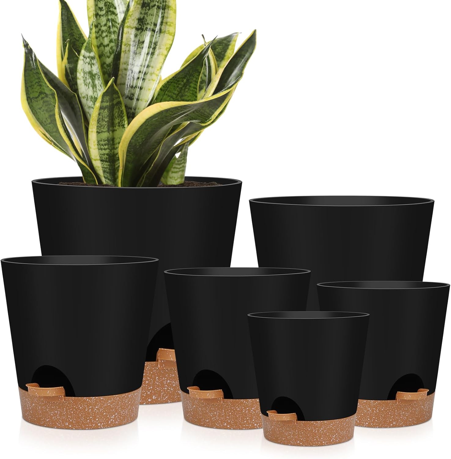 Assorted ceramic and plastic pots with indoor plants on wooden shelves.