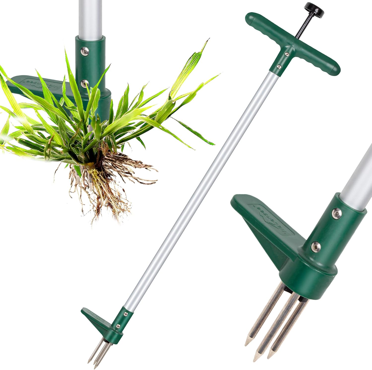Gardener using hand weeder tool to remove weeds from soil.