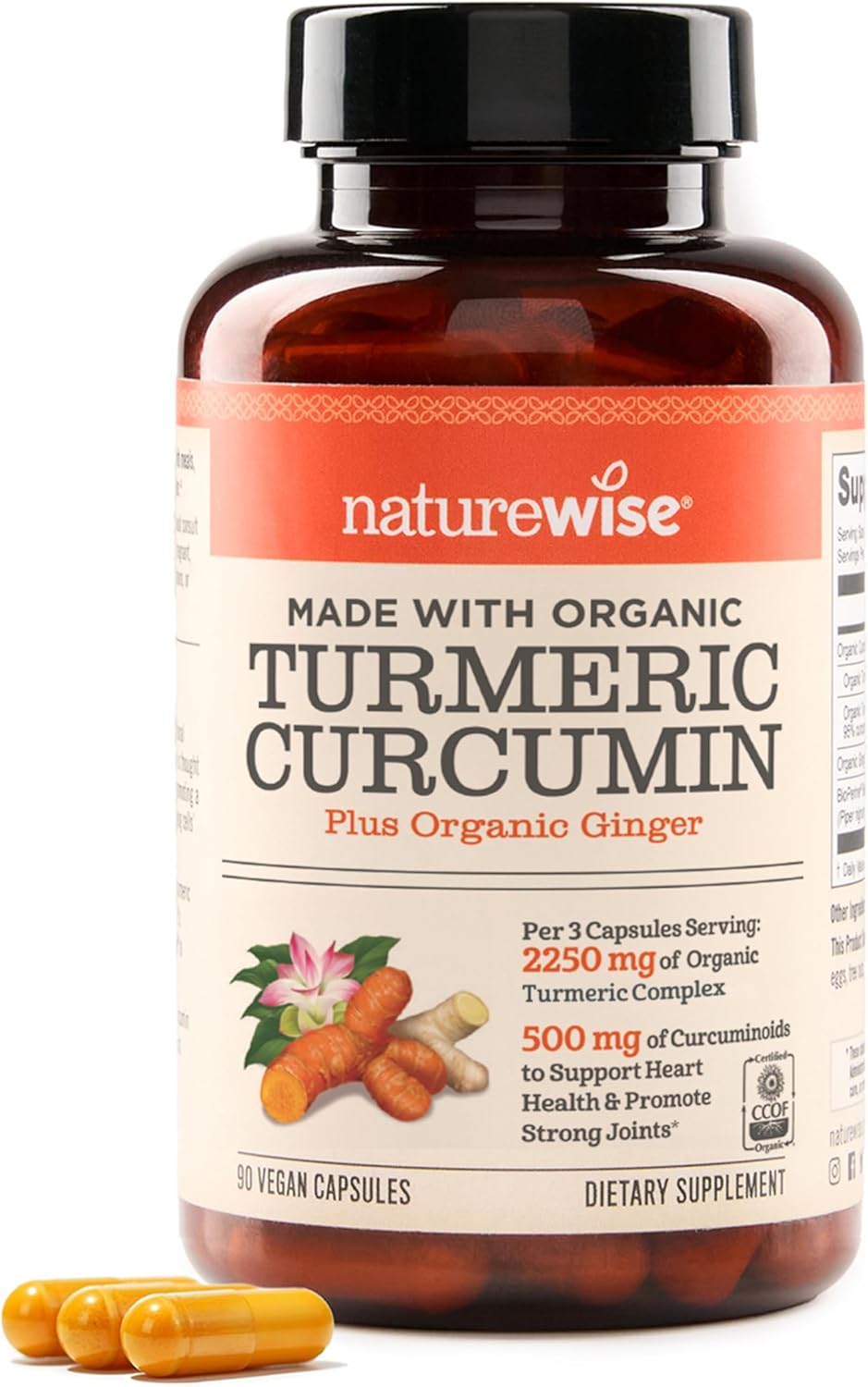FitTrion turmeric and curcumin supplements for joint comfort, mobility, and antioxidant support.