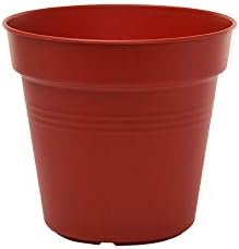 Mintra Home Garden Pots 4pk - Flowers, Herbs, Plants, Indoor, Outdoor, Colorful, Wholesale, Bulk (Burgundy, 11cm Diameter (4.3in))