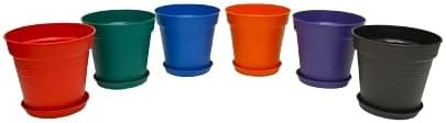 Mintra Home Garden Pots - Flowers, Herbs, Plants, Indoor, Outdoor, Colorful, Wholesale, Bulk (Assorted 6pk, 13cm Diameter (5in))