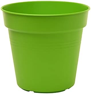 Mintra Home Garden Pots 4pk - Flowers, Herbs, Plants, Indoor, Outdoor, Colorful, Wholesale, Bulk (Light Green, 17cm Diameter (6.6in))