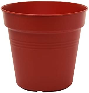 Mintra Home Garden Pots 4pk - Flowers, Herbs, Plants, Indoor, Outdoor, Colorful, Wholesale, Bulk (Burgundy, 17cm Diameter (6.6in))