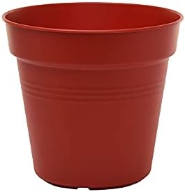 Mintra Home Garden Pots 4pk - Flowers, Herbs, Plants, Indoor, Outdoor, Colorful, Wholesale, Bulk (Burgundy, 15cm Diameter (5.9in))