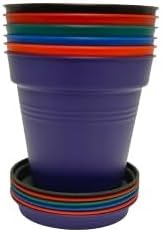 Mintra Home Garden Pots - Flowers, Herbs, Plants, Indoor, Outdoor, Colorful, Wholesale, Bulk (Assorted 6pk, 15cm Diameter (5.9in))