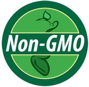 Non GMO Bulk Annual Gaillardia Blanket Flower Seed -Gaillardia pulchella (1 Lb)