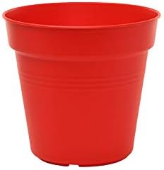 Mintra Home Garden Pots 4pk - Flowers, Herbs, Plants, Indoor, Outdoor, Colorful, Wholesale, Bulk (Red, 11cm Diameter (4.3in))