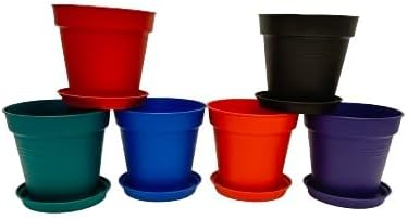 Mintra Home Garden Pots - Flowers, Herbs, Plants, Indoor, Outdoor, Colorful, Wholesale, Bulk (Assorted 6pk, 15cm Diameter (5.9in))