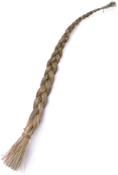 Organic Sweetgrass Live Plant 3" Pot - Vanilla Grass, Buffalo Grass - Native Herb for Smudging, Healing, Spiritual