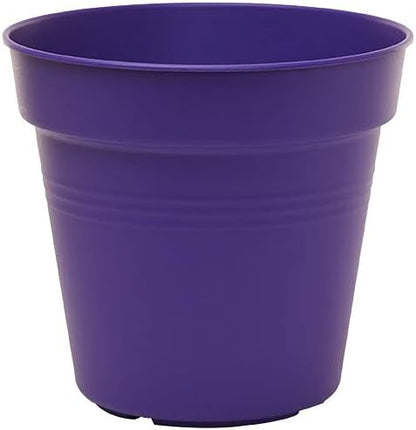 Mintra Home Garden Pots 4pk - Flowers, Herbs, Plants, Indoor, Outdoor, Colorful, Wholesale, Bulk (Purple, 13cm Diameter (5in))