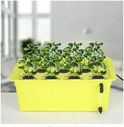 SUCOHANS 50 Pack Cloning Collars Inserts Premium Grade Foam, Cloner Collars, Better Than Neoprene for Hydroponics Plant Germination in DIY Cloner & Clone Machines, Fits 2 Inch Net Cups (Black)