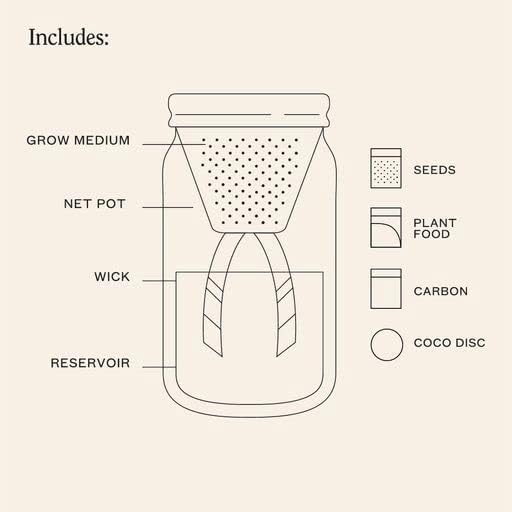 Modern Sprout Glass Jar Grow Set, Indoor Herb Garden, Seed Starter Set, Organic, Non-GMO, Rosemary