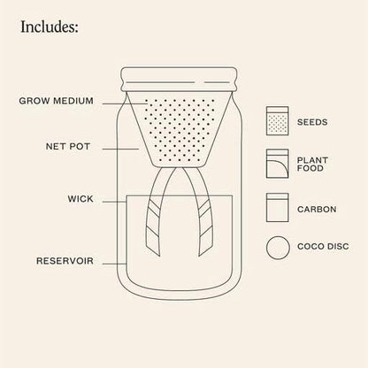 Modern Sprout Glass Jar Grow Set, Indoor Herb Garden, Seed Starter Set, Organic, Non-GMO, Rosemary