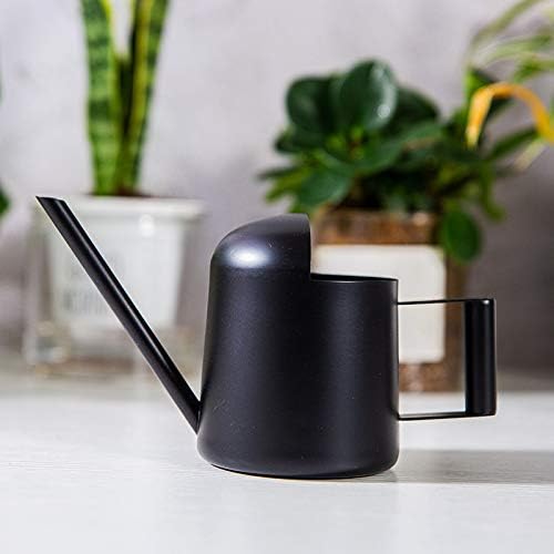 Watering Cans, 10oz/300ml Stainless Steel Long Spout Small Watering Sprinkling Pot, Indoor Outdoor Garden Flower Succulents Plant Watering Cans, Stylish Gardening Decoration(Black)