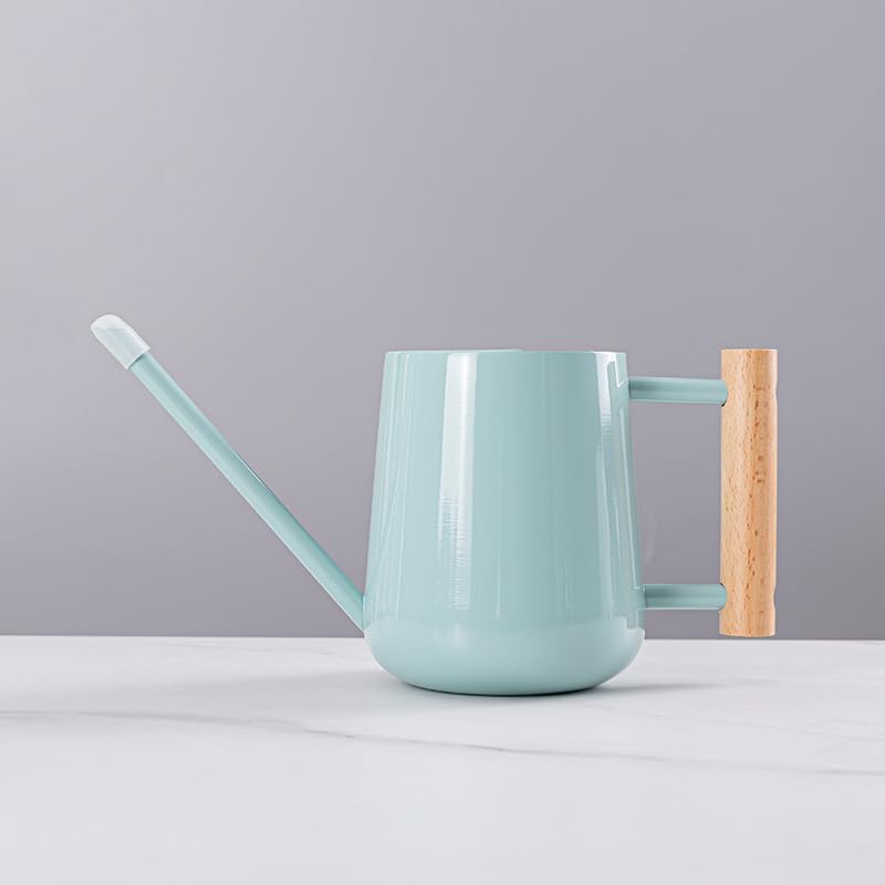 Watering Can Indoor Plants, 30oz/900ml Small Plant Watering Can with Long Spout, Stainless Steel Garden Watering Cans Outdoor Watering Pot for Indoor House Plants Bonsai Flower Decorative