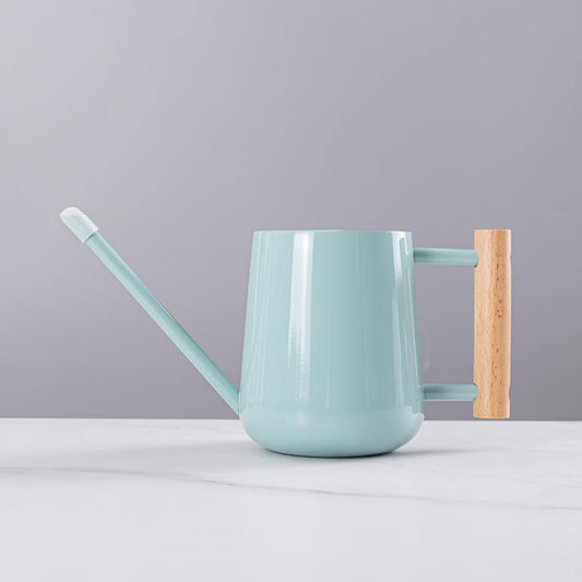 Watering Can Indoor Plants, 30oz/900ml Small Plant Watering Can with Long Spout, Stainless Steel Garden Watering Cans Outdoor Watering Pot for Indoor House Plants Bonsai Flower Decorative