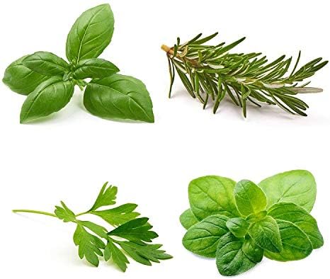 Herb Garden Seeds Collection - 4 Pack of Culinary Herb Seeds - Organic Basil, Rosemary, Parsley, Oregano Seeds, Heirloom Non-GMO Seeds for Planting
