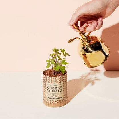 Modern Sprout Plant Mister, 8 oz Indoor Watering Can, Aesthetic Plant Sprayer & Water Mister Spray Bottle, Garden Watering Can for Seed Starting, Vintage-Inspired Gift for Green Lovers - Brass