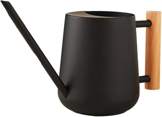 Watering Can Indoor Plants, 30oz/900ml Small Plant Watering Can with Long Spout, Stainless Steel Garden Watering Cans Outdoor Watering Pot for Indoor House Plants Bonsai Flower Decorative
