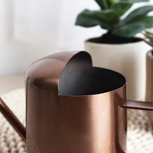 Mini Watering Can, 10oz/300ml Stainless Steel Long Spout Small Watering Can for Indoor Plants Succulents, Herbs (Bronze)