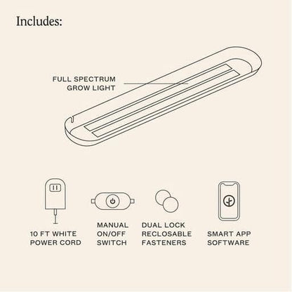 Modern Sprout Garden Jars + Smart Growbar Bundle - Self-Watering Hydroponic Herb Growing Kit with Full-Spectrum LED Grow Light, Organic Herb Seeds, Smart App, Adjustable Brightness, Ideal for Gifting