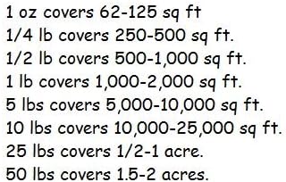 Non GMO Love in a Mist Flower Seeds Nigella damascena (1/2 Lb) 112,000 Seeds