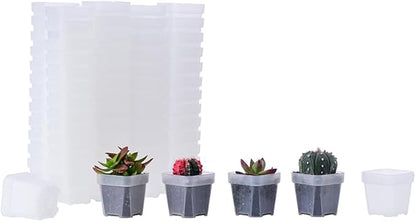 BangQiao 100 Pack 2.55 Inch Small Clear Plastic Square Nursery and Seedling Pot with Drain Hole for Germination, Cactus, Herb, Succulent