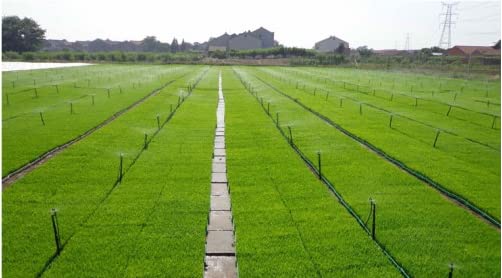 Drip Irrigation Micro Sprinkler Heads: 12 pcs G Type 360 Degree Spray Nozzles for Gardening Lawn Micro-Spray Watering System