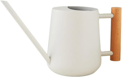 Watering Can Indoor Plants, 30oz/900ml Small Plant Watering Can with Long Spout, Stainless Steel Garden Watering Cans Outdoor Watering Pot for Indoor House Plants Bonsai Flower Decorative