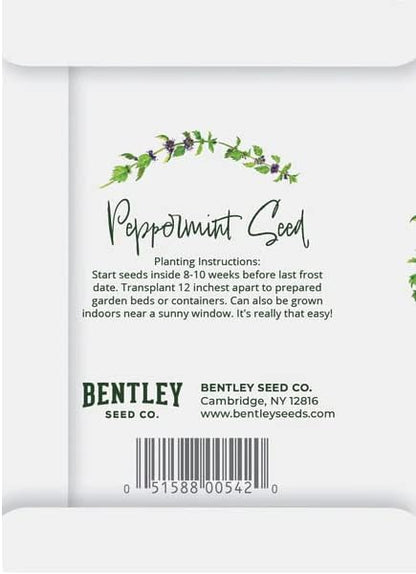 Simply Mint to Be 25 Peppermint Packets for Planting Herb Seeds Beautiful Valentines Gift Bentley Seed Co
