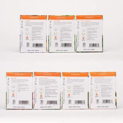 Bentley Seed Medicinal Herbs Starter Kit – Non-GMO Seeds for Indoor Planting - Heirloom Seed Packets - Individual Packets for Chamomile, Lavender, Catnip, Mint, Bee Balm, Lemon Balm, Purple Cone