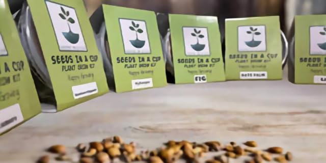 Seeds In A Cup- Tree Growing Kit- Multiple Types of Trees (Sugar Maple)