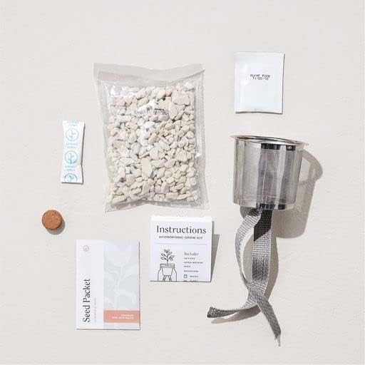 Modern Sprout Glass Jar Grow Set, Indoor Herb Garden, Seed Starter Set, Organic, Non-GMO, Rosemary