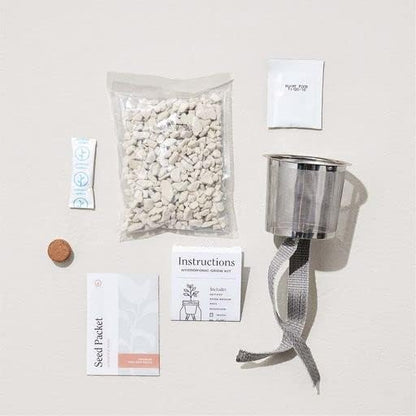 Modern Sprout Glass Jar Grow Set, Indoor Herb Garden, Seed Starter Set, Organic, Non-GMO, Rosemary