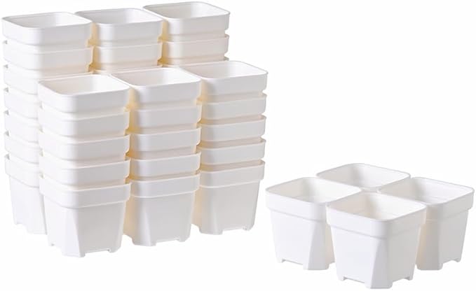 BangQiao 40 Pack 3.65 Inch White Plastic Square Nursery Seedlings Pot for Succulent, Cutting, Transplanting