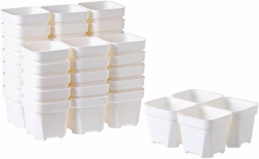 BangQiao 40 Pack 3.65 Inch White Plastic Square Nursery Seedlings Pot for Succulent, Cutting, Transplanting