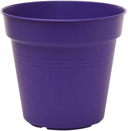 Mintra Home Garden Pots 4pk - Flowers, Herbs, Plants, Indoor, Outdoor, Colorful, Wholesale, Bulk (Purple, 11cm Diameter (4.3in))