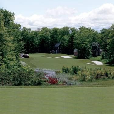 Outsidepride Crystal Bluelinks Creeping Bent Grass Seed - 25 lbs. Dense Turf Grass for Golf Greens & Putting Surfaces, Fine-Textured, Tolerant to Close Mowing for Smooth, Consistent Lawn Coverage