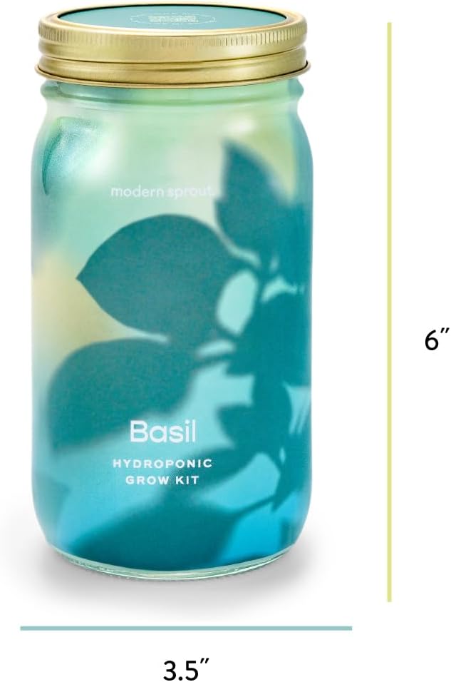 Modern Sprout New & Improved Mason Jar Grow Set 6pk, Indoor Herb Garden, Seed Starter Set, Organic Seeds, Hydroponic Growing (Basil + Mint + Parsley + Cilantro + Rosemary+ Lavender)