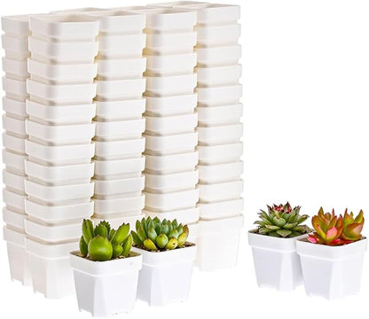 BangQiao 100 Pack 2.55 Inch Small White Plastic Square Nursery and Seedling Pot with Drain Hole for Germination, Cactus, Herb, Succulent