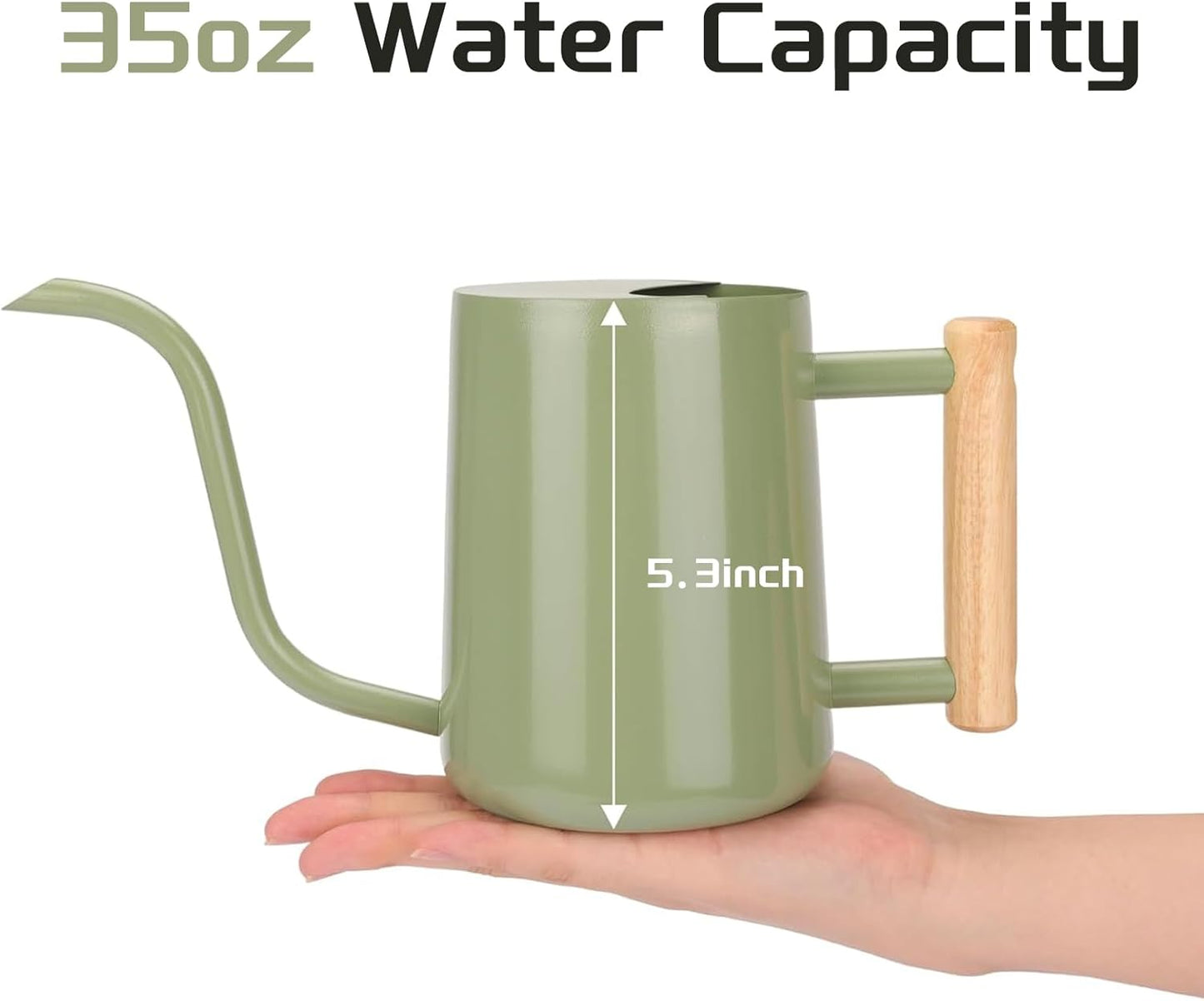CEWOR Sage Green 35 Oz Metal Watering Can with Long Spout for Indoor & Outdoor Plants