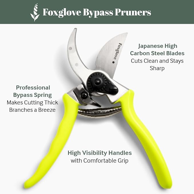 Foxglove 8.5" Pruning Shears – Professional Garden Shears & Bypass Hand Pruners with Japanese SK5 High Carbon Steel Blades, Heavy Duty Garden Clippers & Gardening Tools