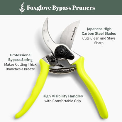 Foxglove 8.5" Pruning Shears – Professional Garden Shears & Bypass Hand Pruners with Japanese SK5 High Carbon Steel Blades, Heavy Duty Garden Clippers & Gardening Tools