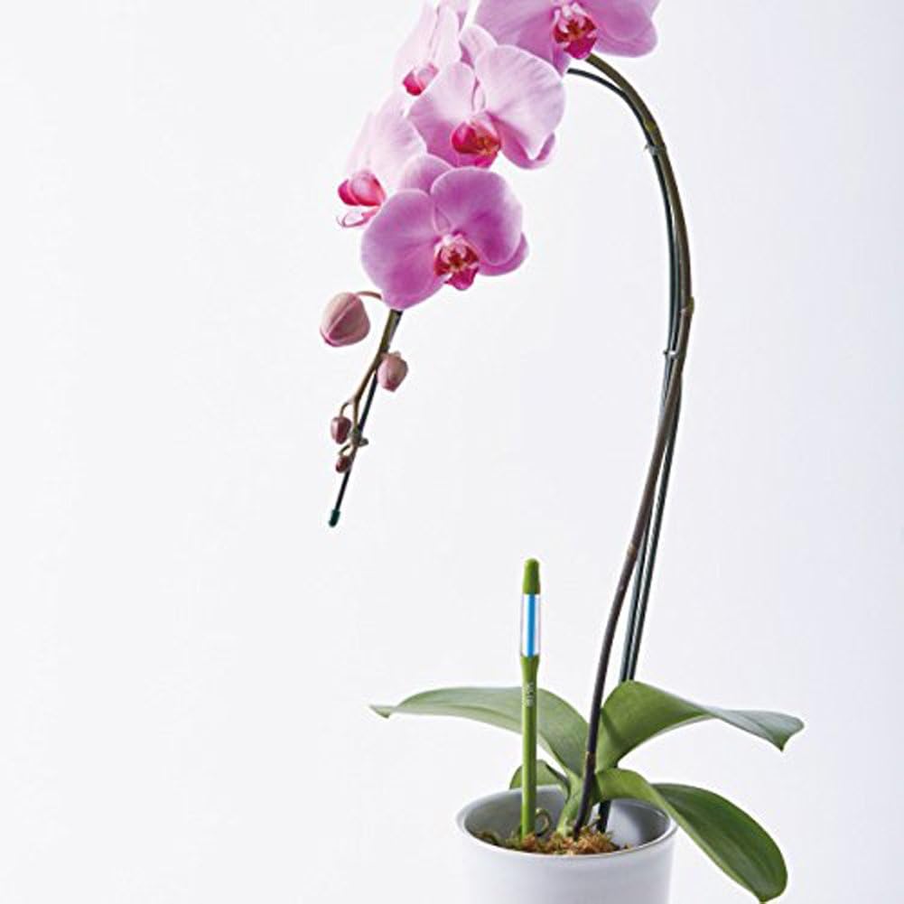 Sustee Aquameter, Plant Moisture Sensor, Set of 2 (Green, Large)