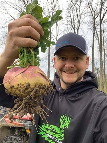 Pure Whitetail Sugar Rush | Select Seed Blends | Easiest Deer Feeder | Late Season Whitetail Deer Food Plot | Turnip, Sugar Beet, Winfred Forage Brassica Seeds | 5 lb Bags | 2-Pack