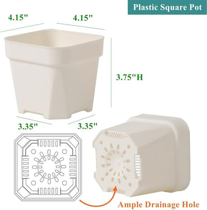 BangQiao 30 Pack 4.15 Inch White Plastic Square Nursery Seedlings Pot for Succulent, Cutting, Transplanting