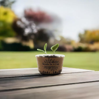 Seeds In A Cup- Tree Growing Kit- Multiple Types of Trees (Pecan)